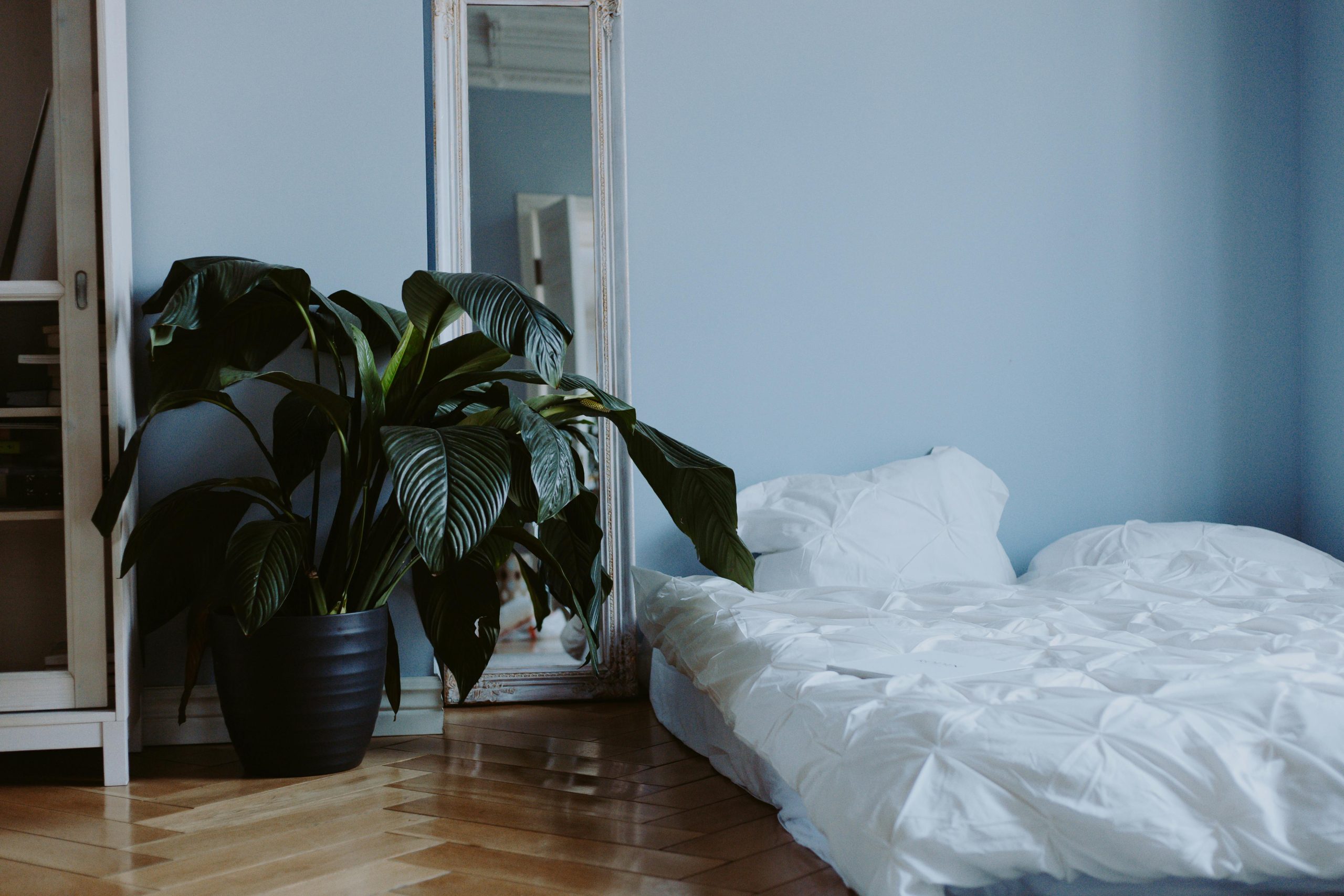 Stylish minimalist bedroom featuring a large potted plant, white bedding, and a full-length mirror.